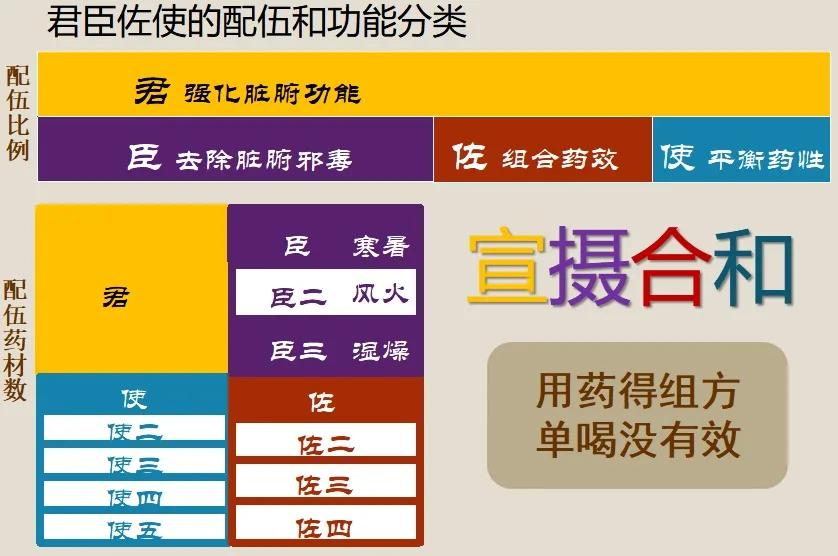 君臣佐使图示
